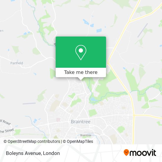 Boleyns Avenue map