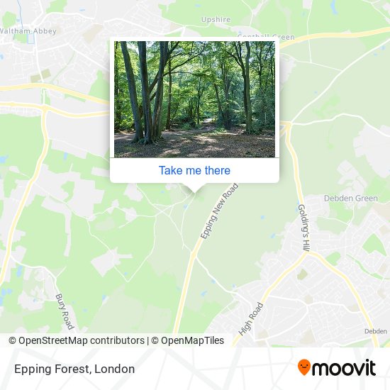 Epping Forest - Wikipedia