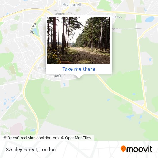 Swinley Forest map