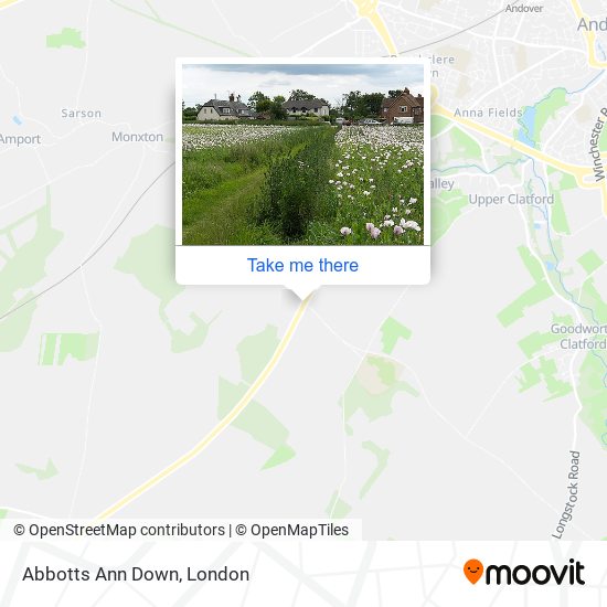Abbotts Ann Down map