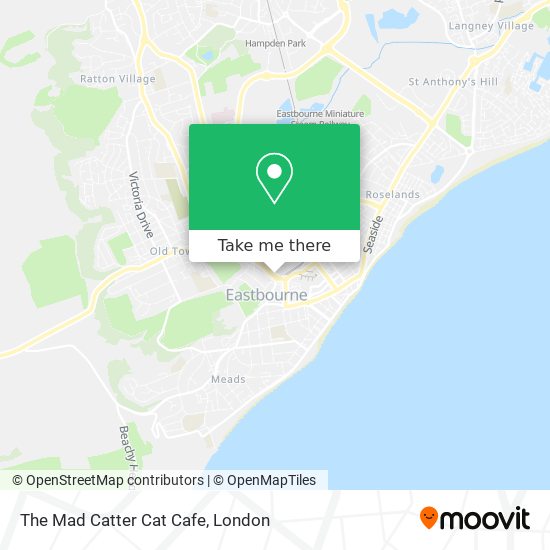 The Mad Catter Cat Cafe map