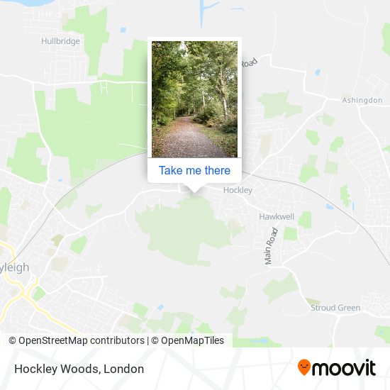 Hockley Woods map