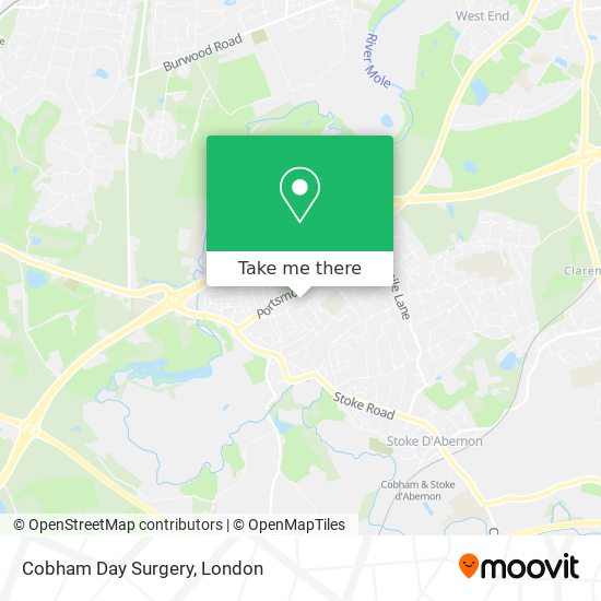 Cobham Day Surgery map