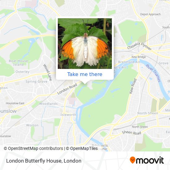London Butterfly House map