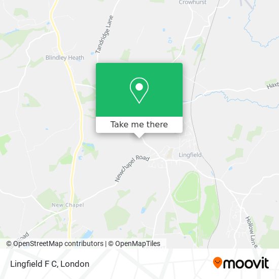 Lingfield F C map