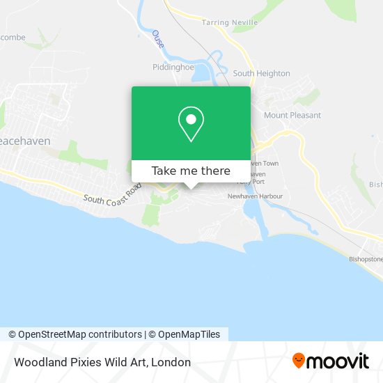 Woodland Pixies Wild Art map