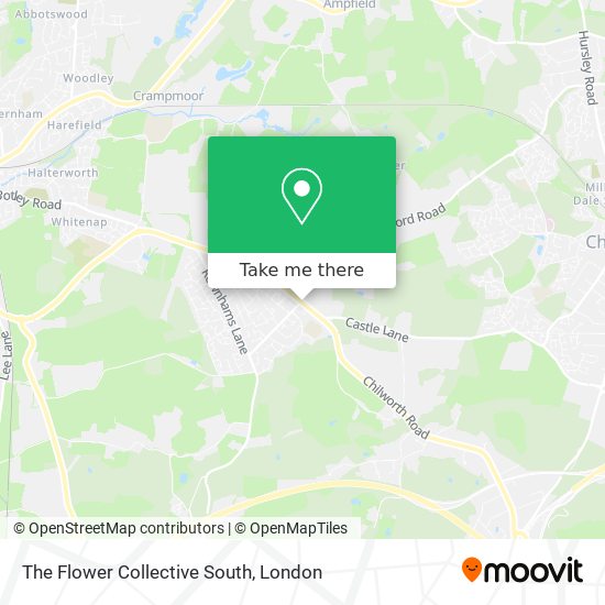 The Flower Collective South map