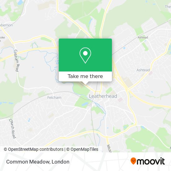 Common Meadow map