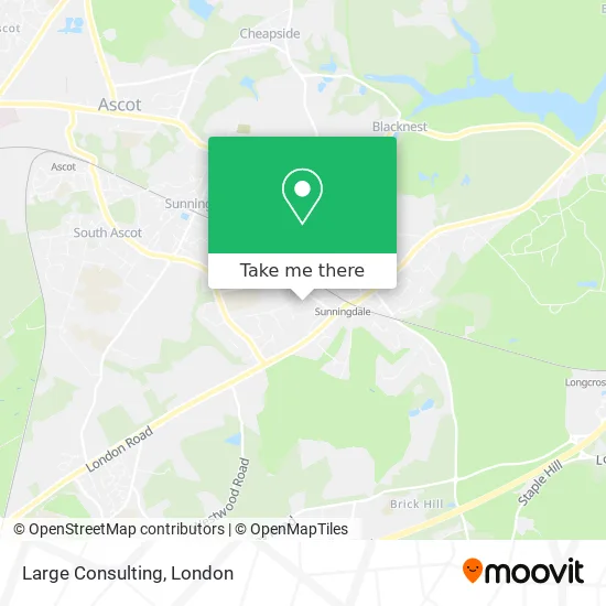 Large Consulting map