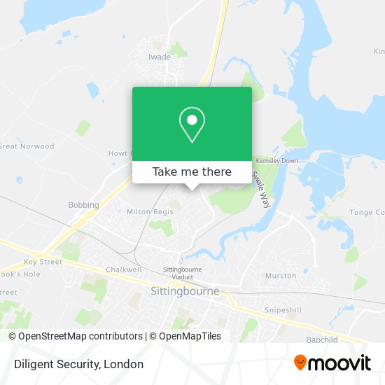 Diligent Security map