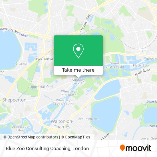 Blue Zoo Consulting Coaching map