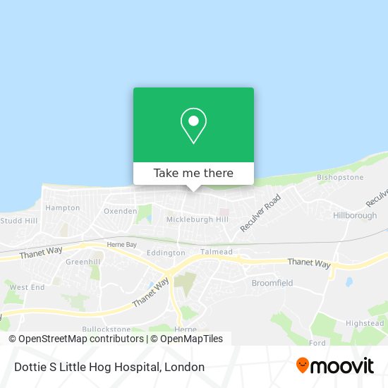 Dottie S Little Hog Hospital map