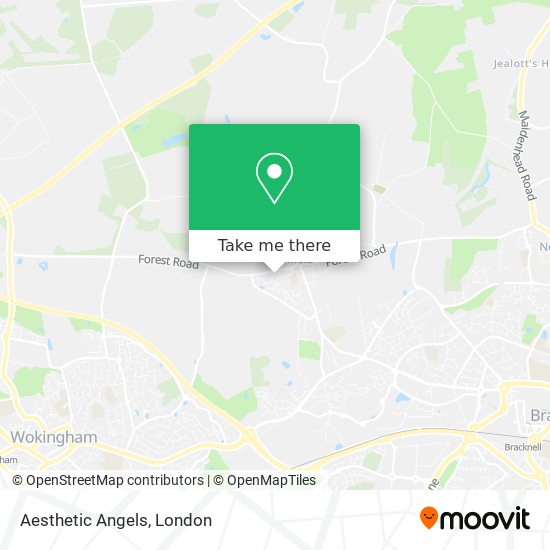 Aesthetic Angels map