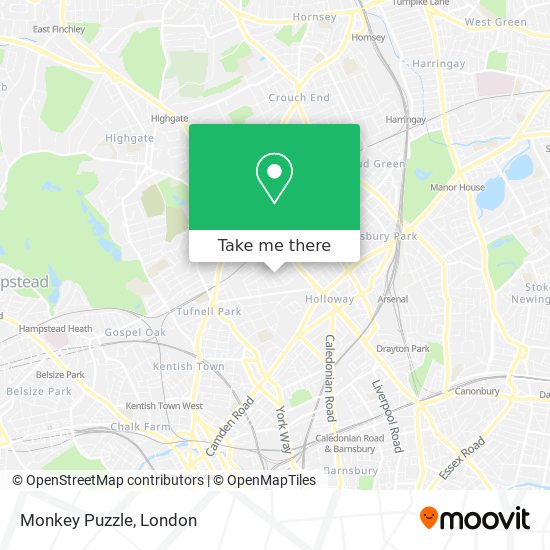 Monkey Puzzle map