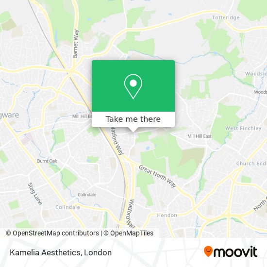 Kamelia Aesthetics map