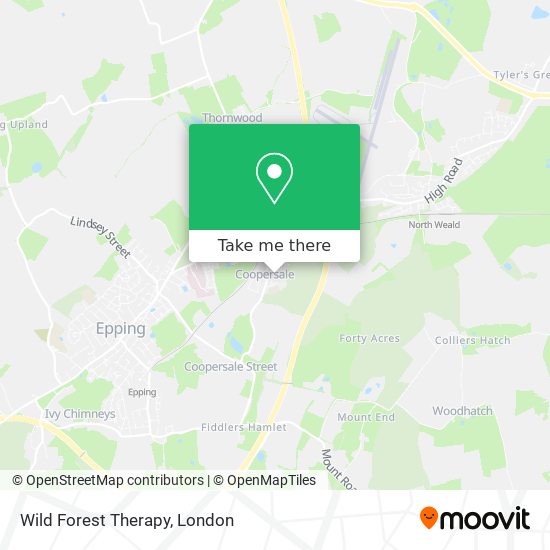 Wild Forest Therapy map