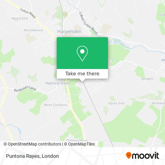Puntona Rayes map