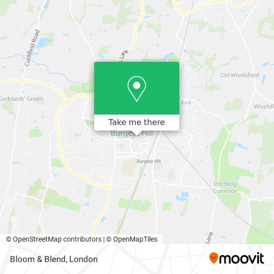 Bloom & Blend map