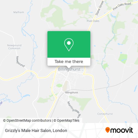 Grizzly's Male Hair Salon map