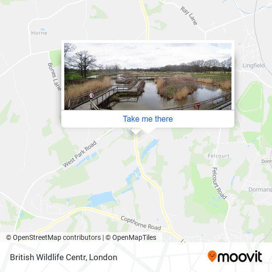 British Wildlife Centr map