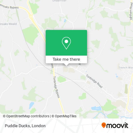 Puddle Ducks map