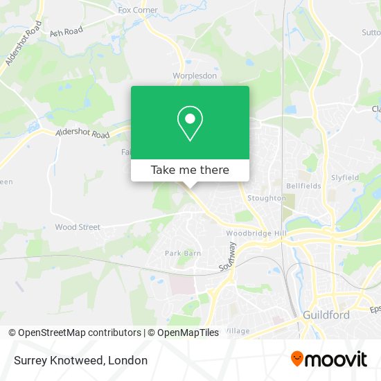 Surrey Knotweed map