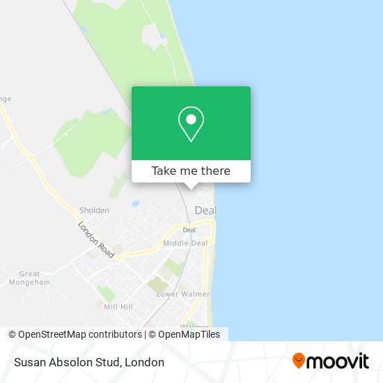 Susan Absolon Stud map