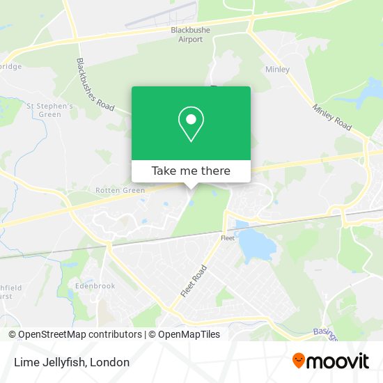Lime Jellyfish map