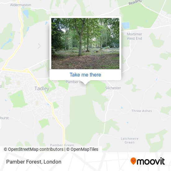 Pamber Forest map
