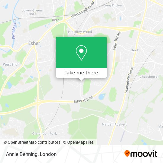 Annie Benning map
