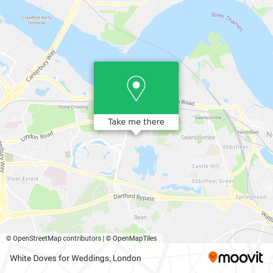 White Doves for Weddings map