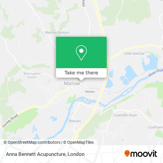 Anna Bennett Acupuncture map