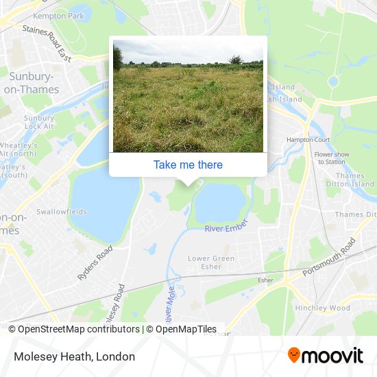 Molesey Heath map