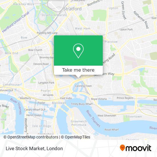 Live Stock Market map