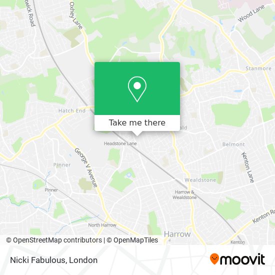 Nicki Fabulous map