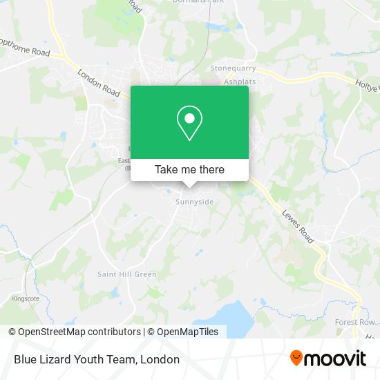 Blue Lizard Youth Team map