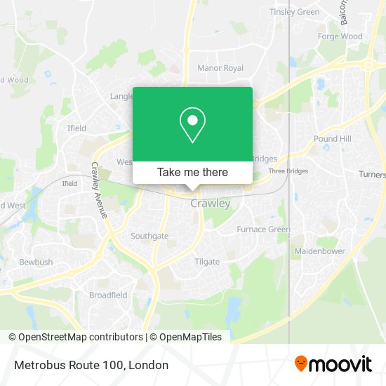 Metrobus Route 100 map