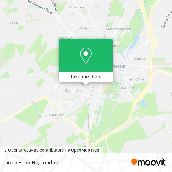 Aura Flora He map