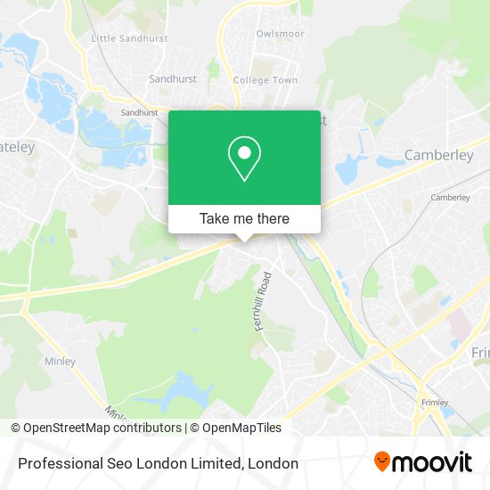 Professional Seo London Limited map