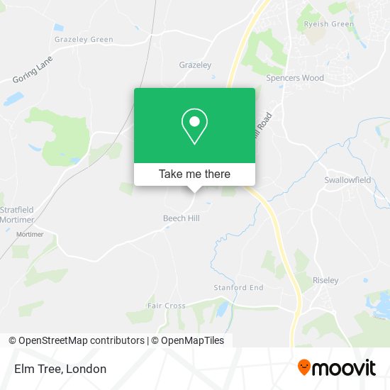Elm Tree map