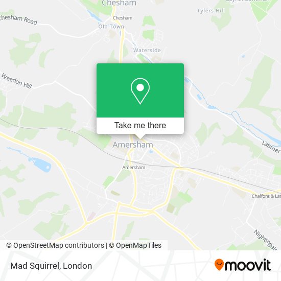 Mad Squirrel map