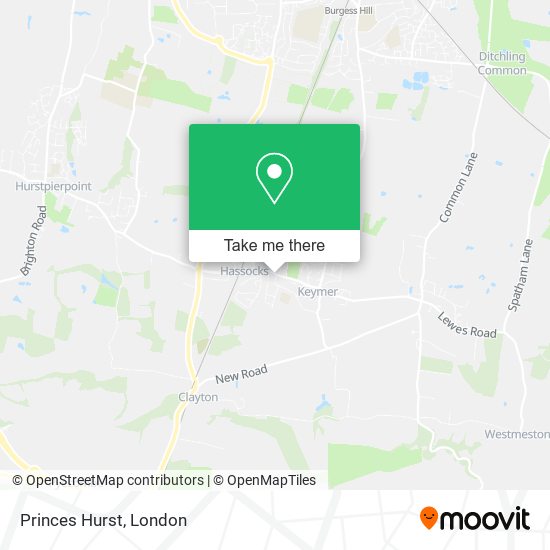 Princes Hurst map