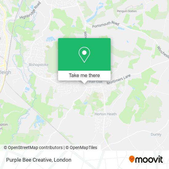 Purple Bee Creative map