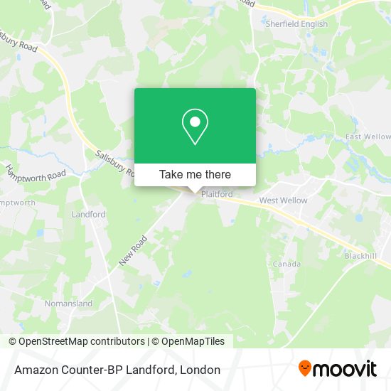 Amazon Counter-BP Landford map