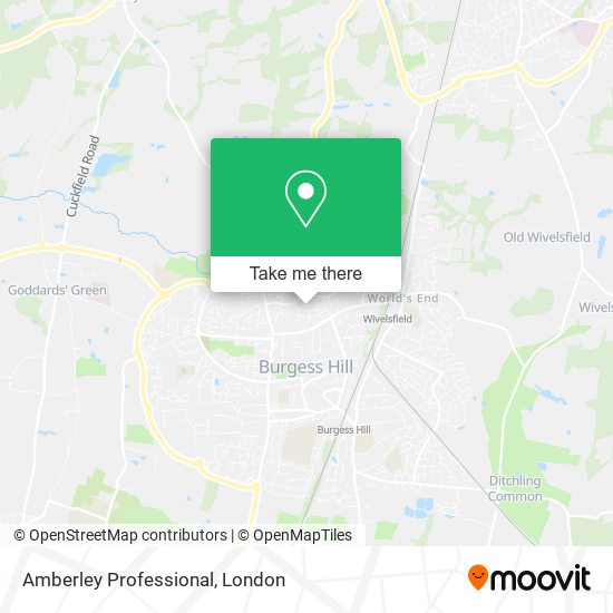 Amberley Professional map
