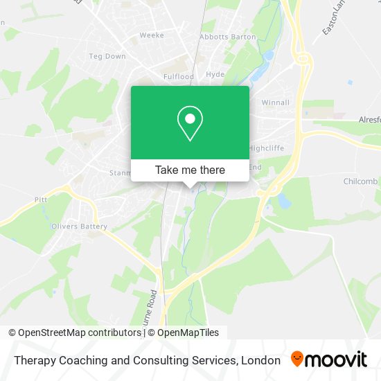 Therapy Coaching and Consulting Services map