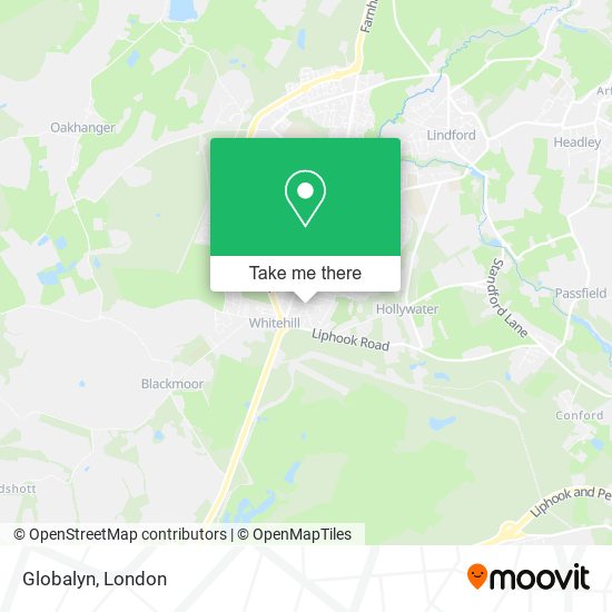 Globalyn map