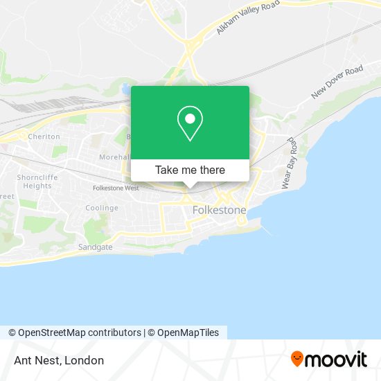 Ant Nest map