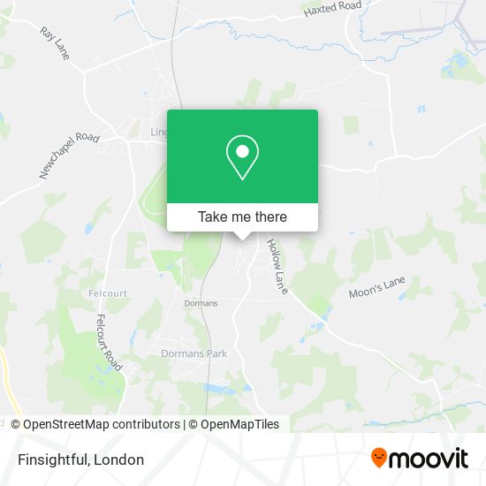 Finsightful map