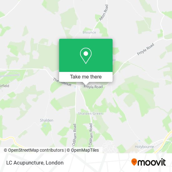 LC Acupuncture map